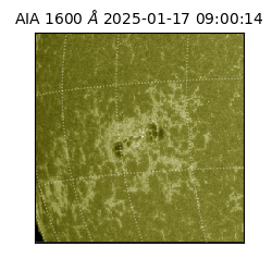 saia - 2025-01-17T09:00:14.125000