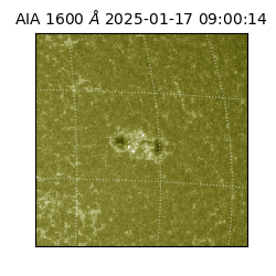 saia - 2025-01-17T09:00:14.125000