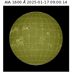 saia - 2025-01-17T09:00:14.125000