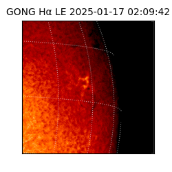 gong - 2025-01-17T02:09:42