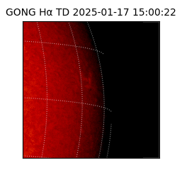 gong - 2025-01-17T15:00:22