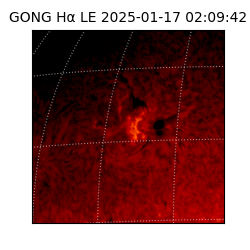 gong - 2025-01-17T02:09:42