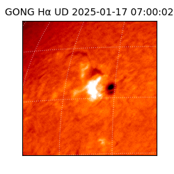 gong - 2025-01-17T07:00:02
