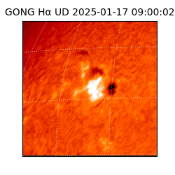 gong - 2025-01-17T09:00:02