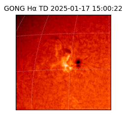 gong - 2025-01-17T15:00:22