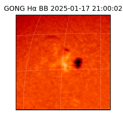 gong - 2025-01-17T21:00:02