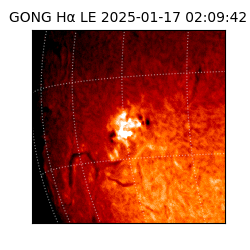 gong - 2025-01-17T02:09:42