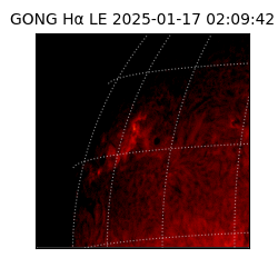 gong - 2025-01-17T02:09:42