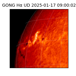 gong - 2025-01-17T09:00:02