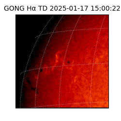 gong - 2025-01-17T15:00:22