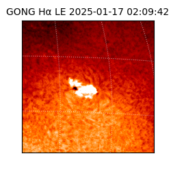 gong - 2025-01-17T02:09:42
