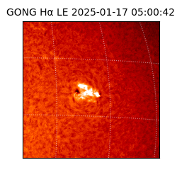 gong - 2025-01-17T05:00:42