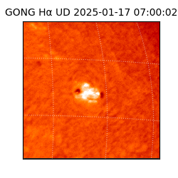 gong - 2025-01-17T07:00:02