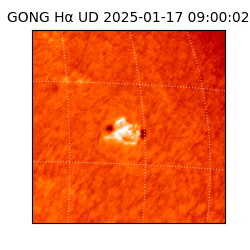 gong - 2025-01-17T09:00:02