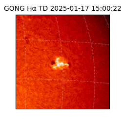 gong - 2025-01-17T15:00:22