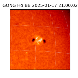 gong - 2025-01-17T21:00:02