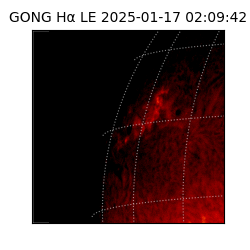 gong - 2025-01-17T02:09:42