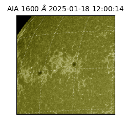 saia - 2025-01-18T12:00:14.129000