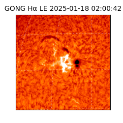 gong - 2025-01-18T02:00:42