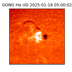 gong - 2025-01-18T05:00:02