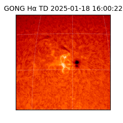 gong - 2025-01-18T16:00:22