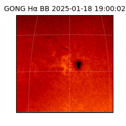 gong - 2025-01-18T19:00:02