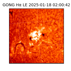 gong - 2025-01-18T02:00:42