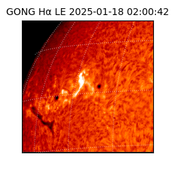 gong - 2025-01-18T02:00:42