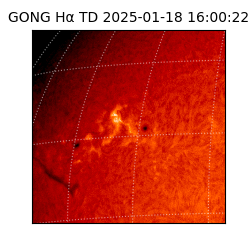 gong - 2025-01-18T16:00:22