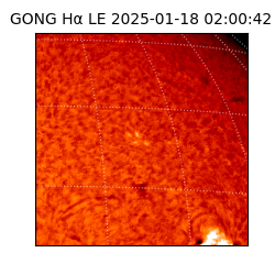 gong - 2025-01-18T02:00:42