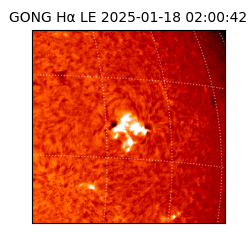 gong - 2025-01-18T02:00:42