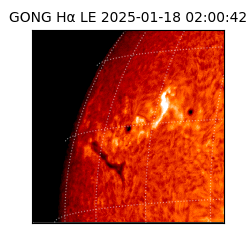 gong - 2025-01-18T02:00:42