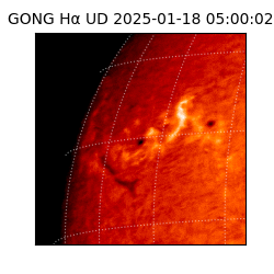gong - 2025-01-18T05:00:02