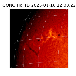 gong - 2025-01-18T12:00:22