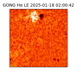 gong - 2025-01-18T02:00:42