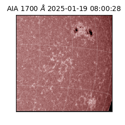 saia - 2025-01-19T08:00:28.719000