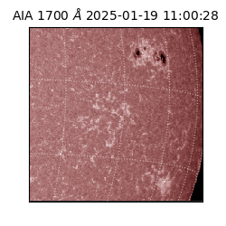 saia - 2025-01-19T11:00:28.717000