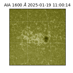 saia - 2025-01-19T11:00:14.125000