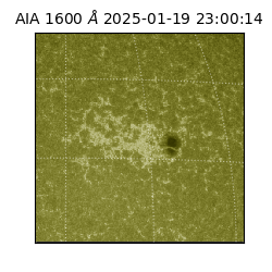 saia - 2025-01-19T23:00:14.133000