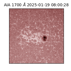 saia - 2025-01-19T08:00:28.719000