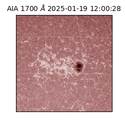 saia - 2025-01-19T12:00:28.717000