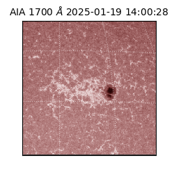 saia - 2025-01-19T14:00:28.737000