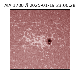 saia - 2025-01-19T23:00:28.717000