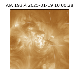 saia - 2025-01-19T10:00:28.842000