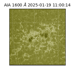 saia - 2025-01-19T11:00:14.125000