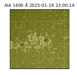 saia - 2025-01-19T23:00:14.133000