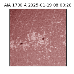 saia - 2025-01-19T08:00:28.719000