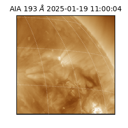 saia - 2025-01-19T11:00:04.843000