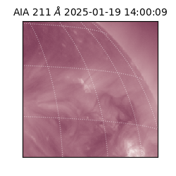 saia - 2025-01-19T14:00:09.634000