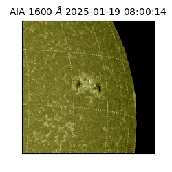 saia - 2025-01-19T08:00:14.119000